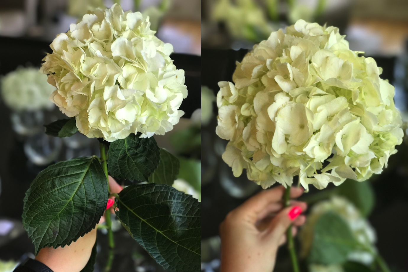 DIY Grocery Store Wedding Flowers