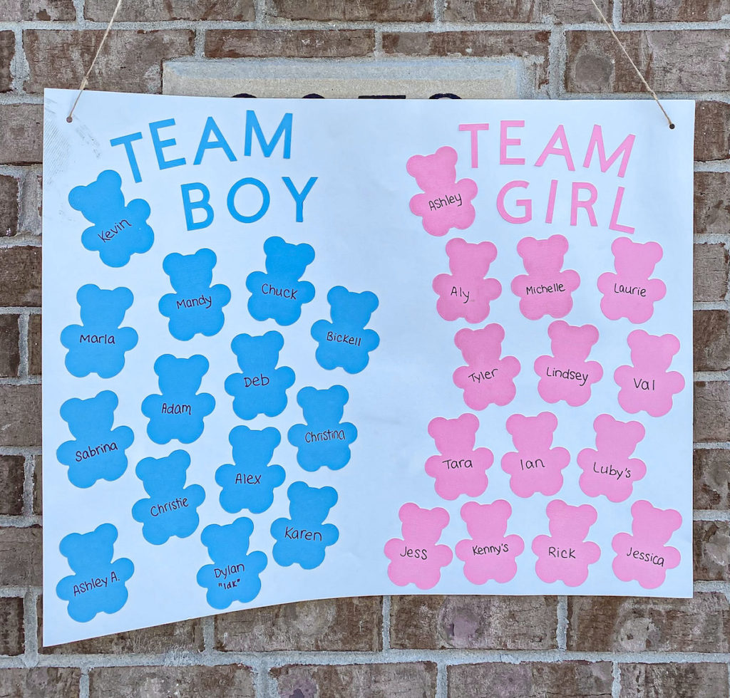 Gender Reveal Team Boy Team Girl