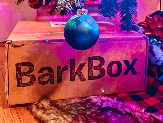Bark Box Subscription Review