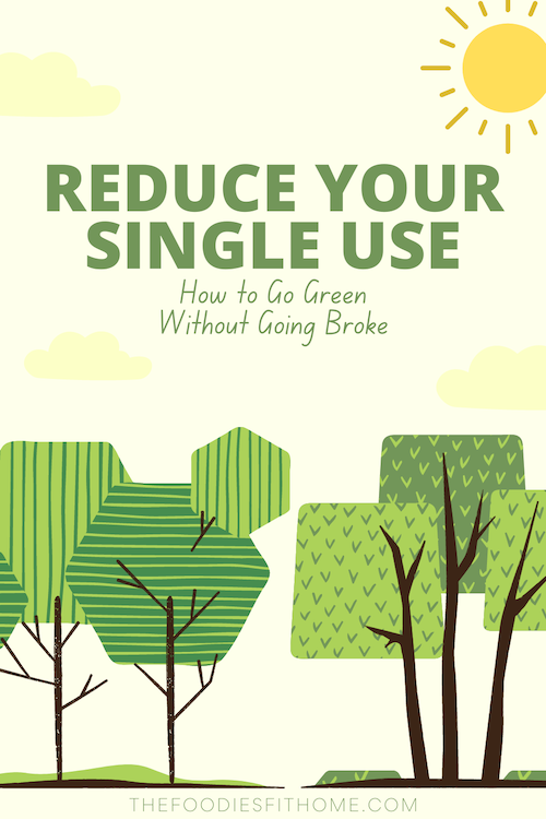 Reduce Single Use: How to Go Green Without Going Broke